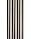 Wall Panel 300X21X2700mm Acoustic Oak