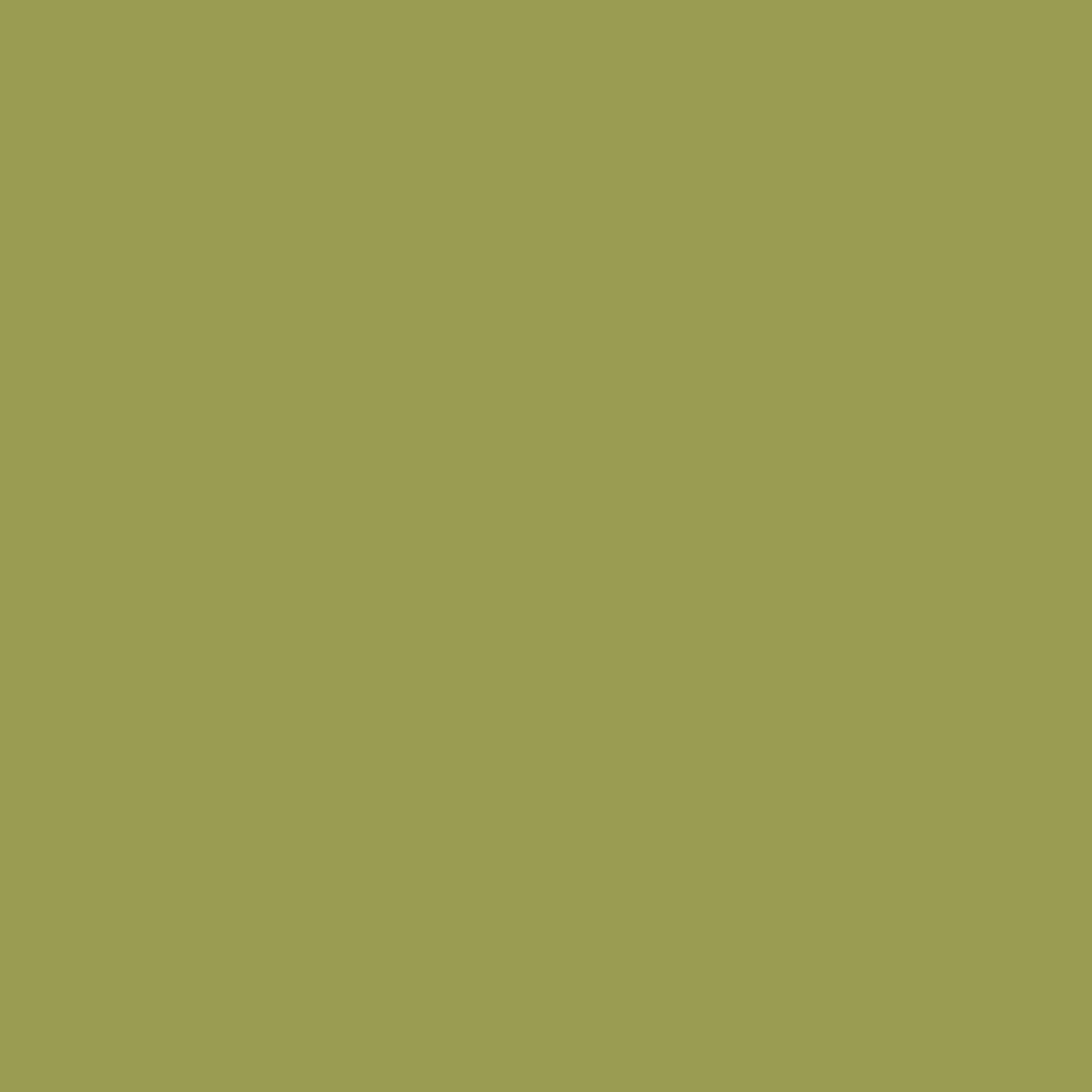 Mount Board Supreme Premier 813X1110mm Green Apple﻿