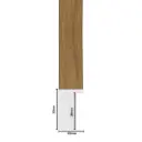 PS Moulding W 20 X H 32 X L 2900mm Natural Kiaat