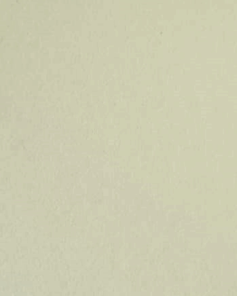 Mount Board Supreme Premier Jumbo 1020X1520mm Peach