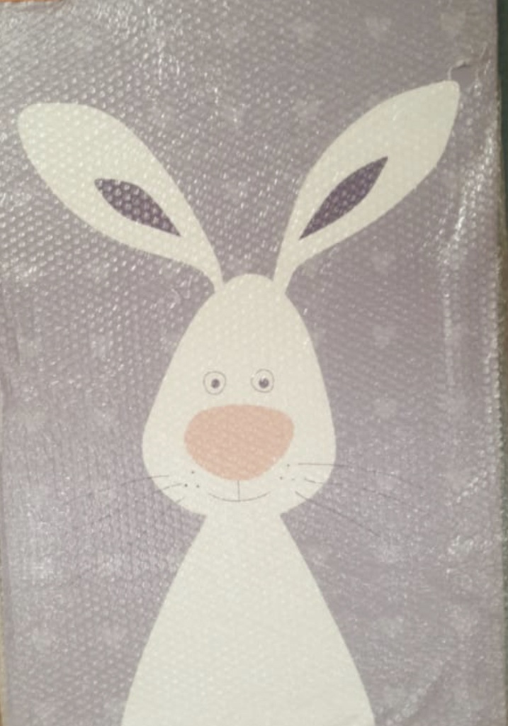Print On Canvas Bunny Cartoon 600X900mm