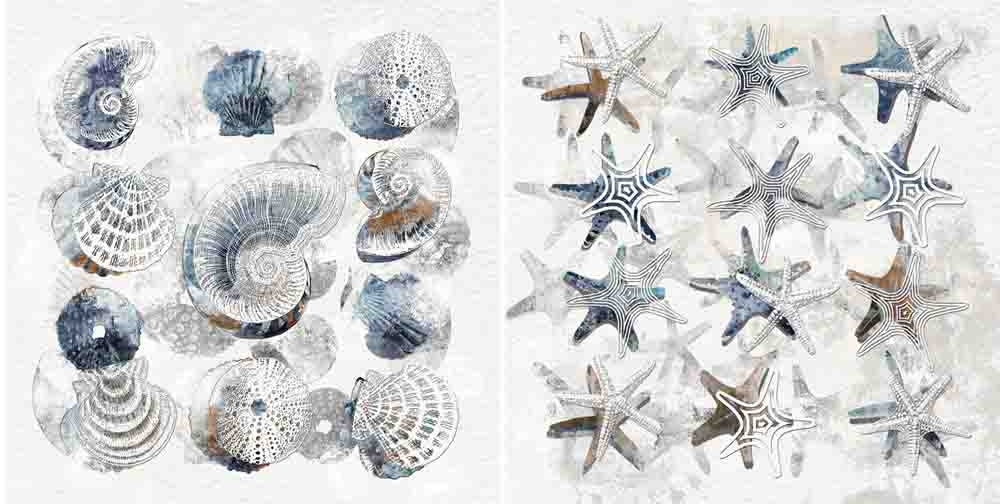 OIL ON CANVAS STAR FISH SHELLS 600X600MM