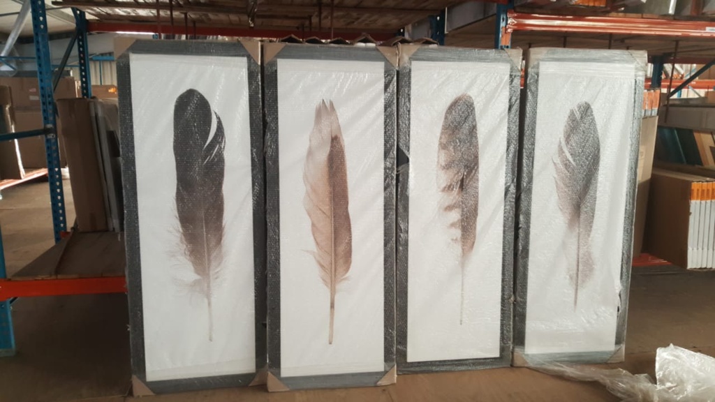 Print on Canvas Framed - 4 Feathers -  (1500x500 (Set of 4) - 1095H