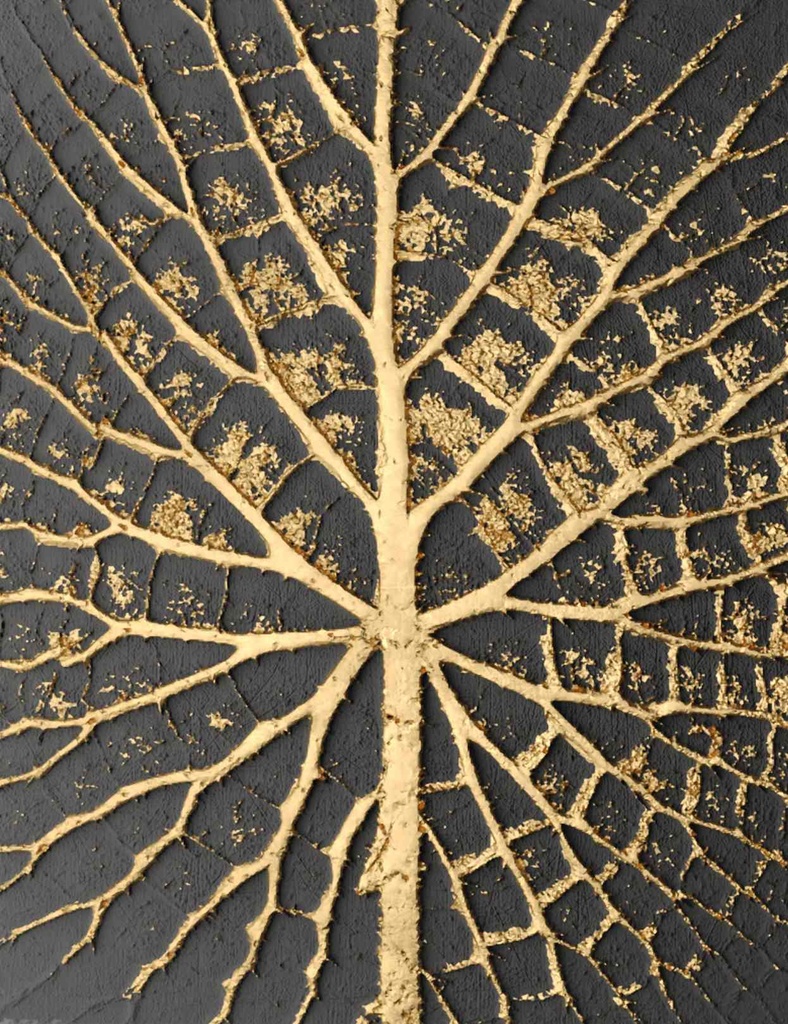 Print On Canvas Wall Art Black & Gold 700X1400mm