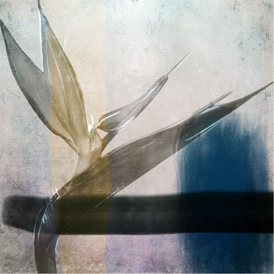 Print On Canvas Flower 1000X1000mm