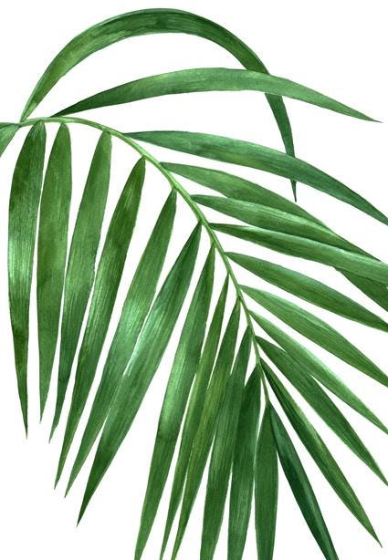 Print On Canvas - Tropical Leaf 2 (813X1220)