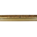 PS MOULDING SLIP W 15 X H 6 X L 2900MM ANTIQUE GOLD