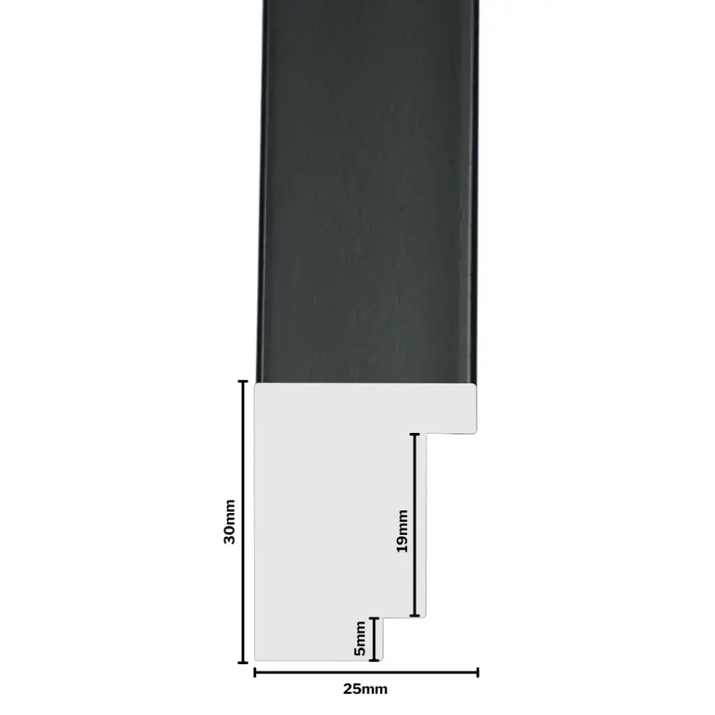 PS Moulding W 25 X H 30 X L 2900mm Black