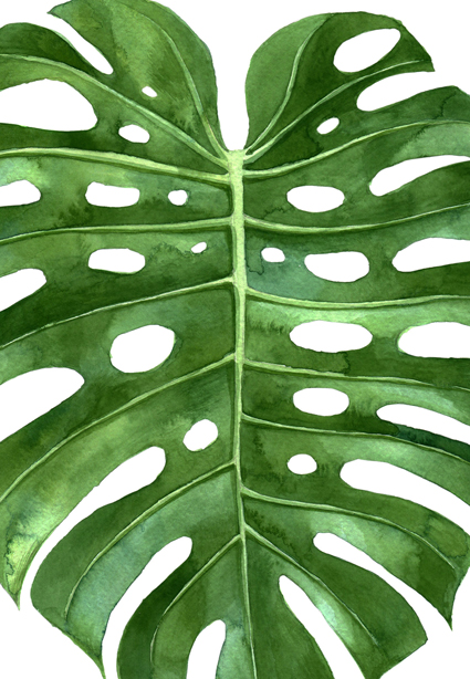 PRINT ON CANVAS TROPICAL LEAF 813X1220MM