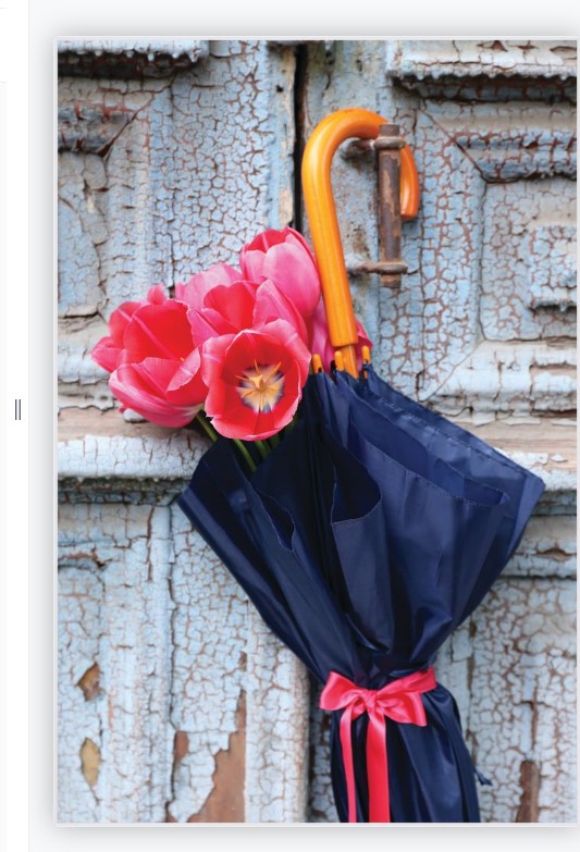 FRAMED PRINT UMBRELLA 900X600MM
