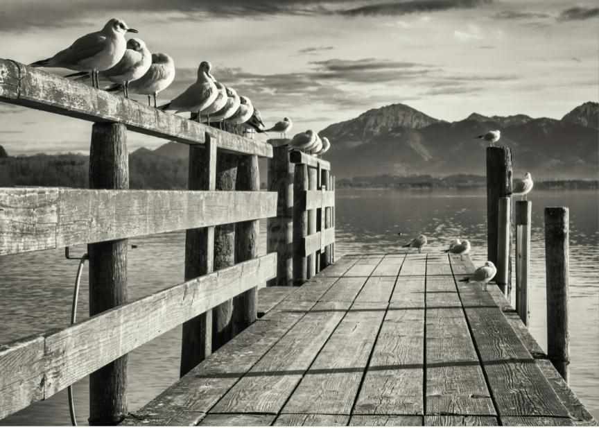 Prints On Canvas Sea Wooden Jetty 1200X800mm