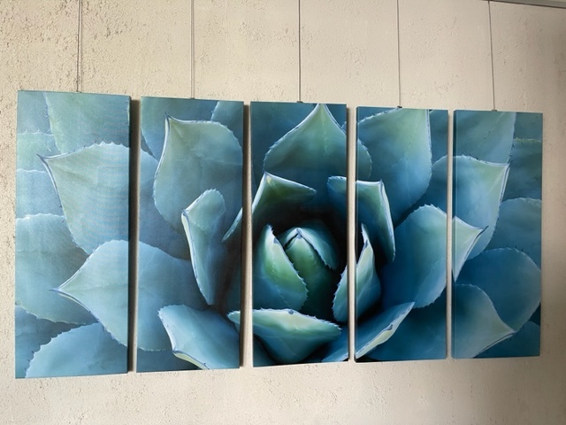Print on Canvas - CACTUS 5 Piece - (1800x970)