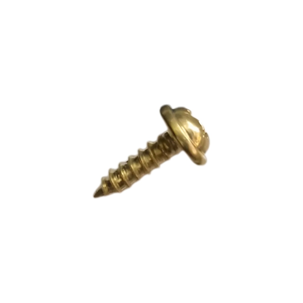 Screw 3X10mm 100 Pack Gold