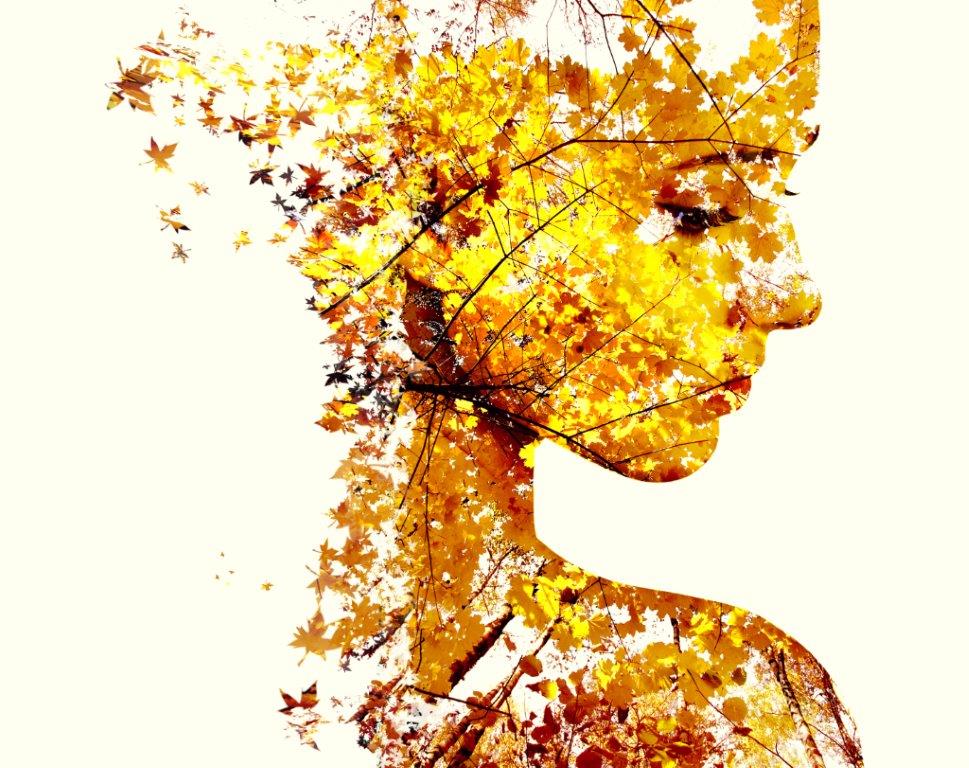 Print on Canvas - Abstract Face -(950x1200)