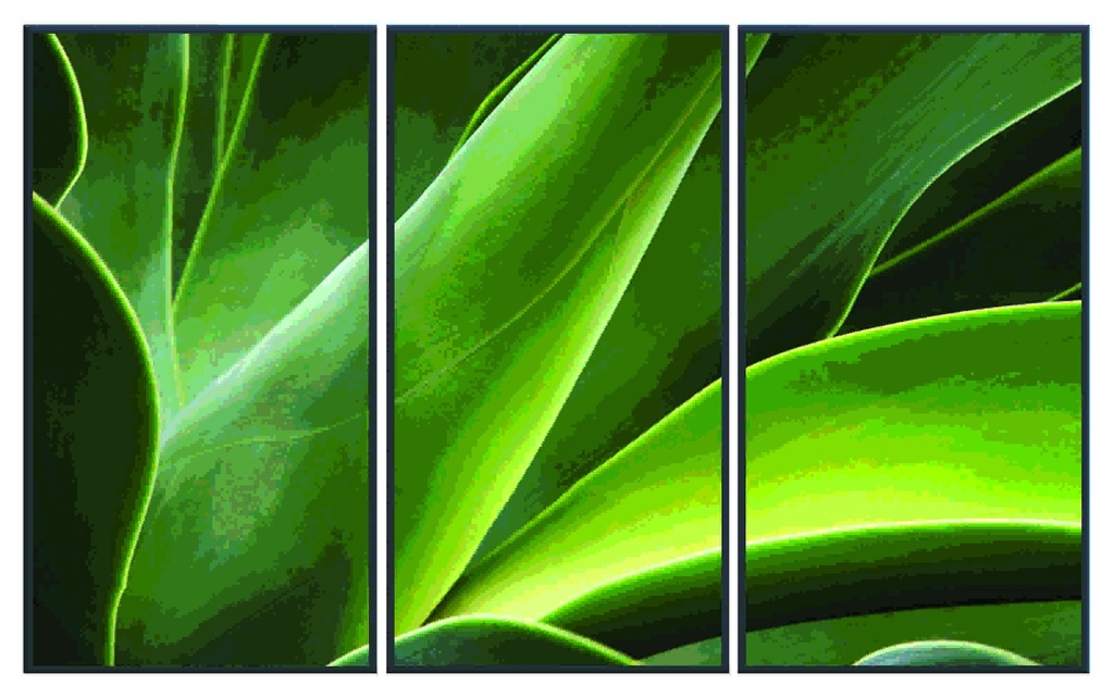 ASA401 - ABSTRACT PLANT 1220 X 1830 - BLACK FRAME