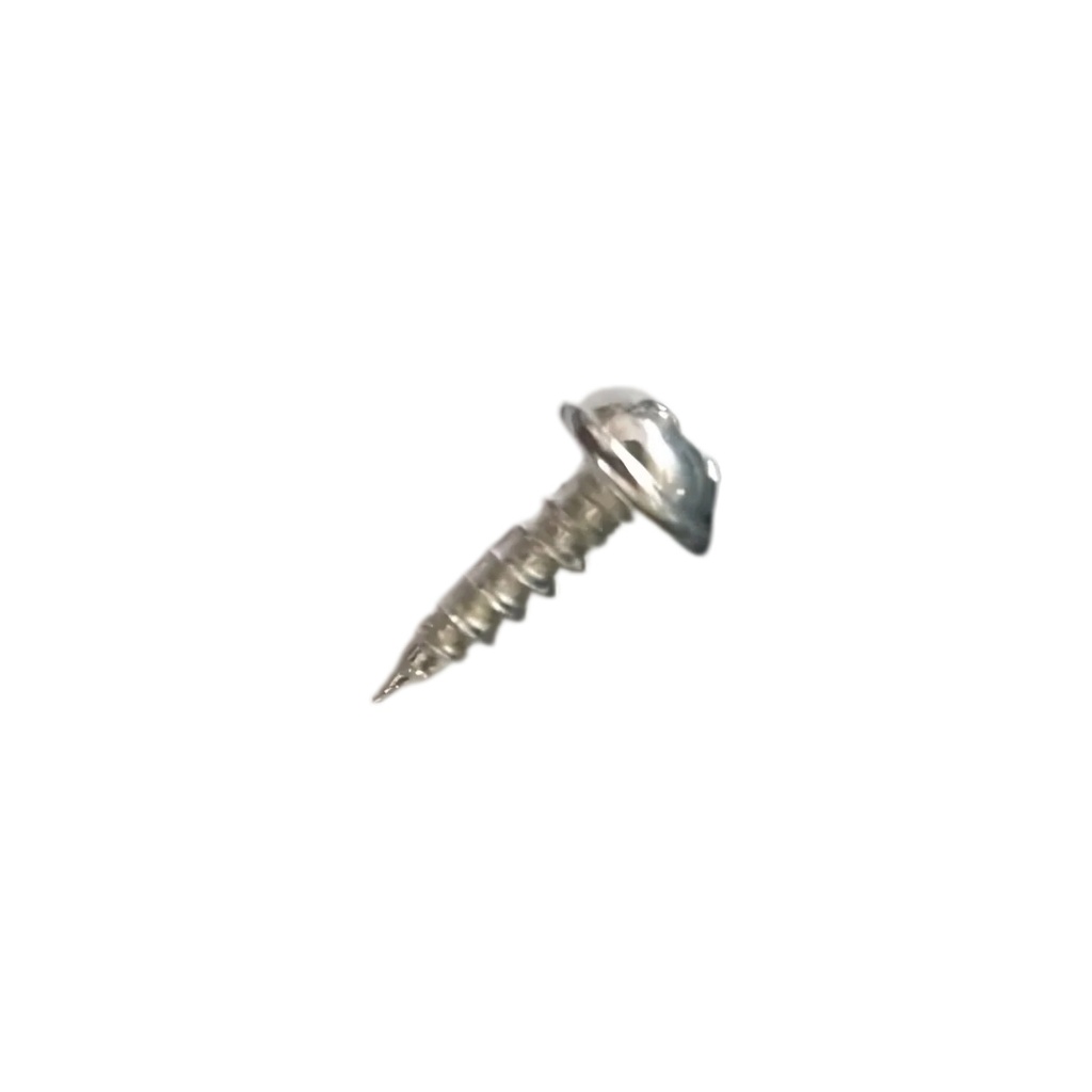 Screw 3X10mm 100 Pack Silver
