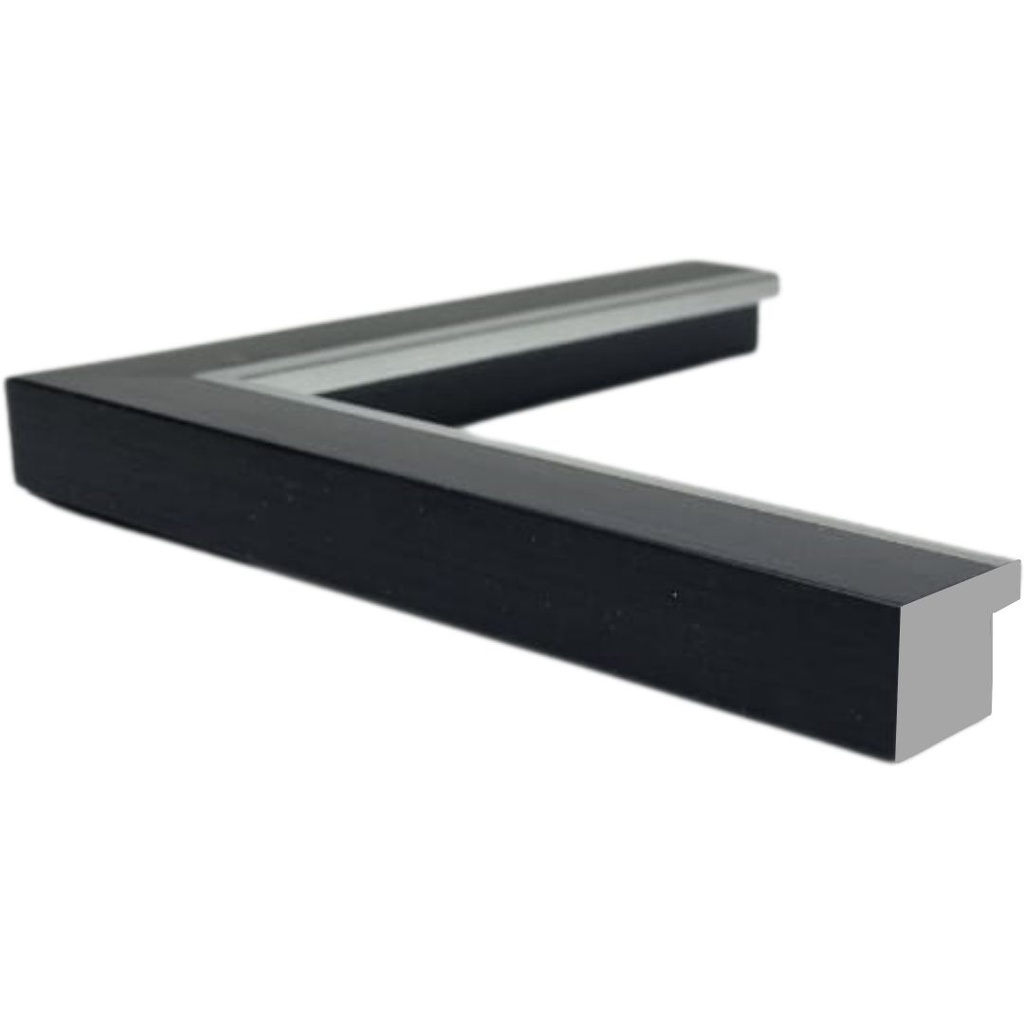 [1153E] PS Moulding W 30 X H 22 X L 2900mm Black & Silver