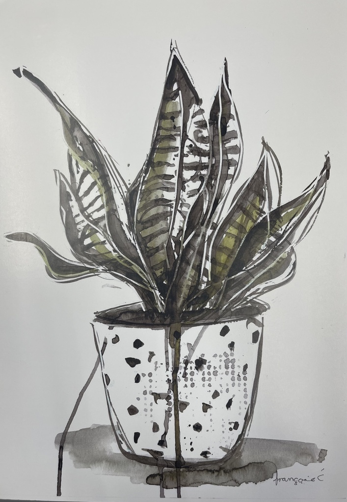 [FP321/1171-3S] ORIGINAL ART FRAMED PLANT ALOE POT 300X450MM