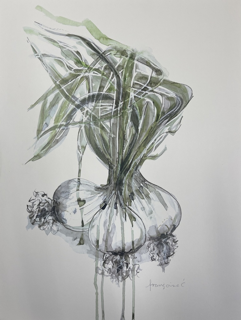[FP323/1171-3S] ORIGINAL ART FRAMED PLANT ONION 300X450MM