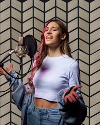 [5213A] Wall Panel 715X580mm Acoustic Ash