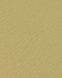 [P8611] Mount Board Premier 815X1200mm Mustard Yellow