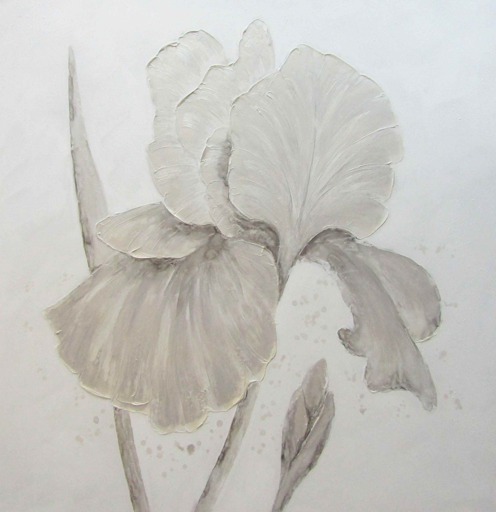 [DY004] OIL ON CANVAS FLOWERS BEIGE IRIS 1000X1000MM