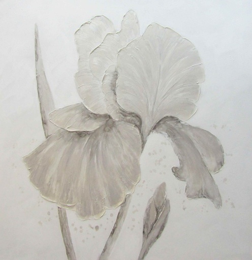 [DY004] Oil On Canvas Flowers Beige Iris 1000X1000mm