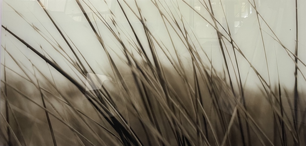 [ASG065] ART GLASS GRASS 610X1220MM