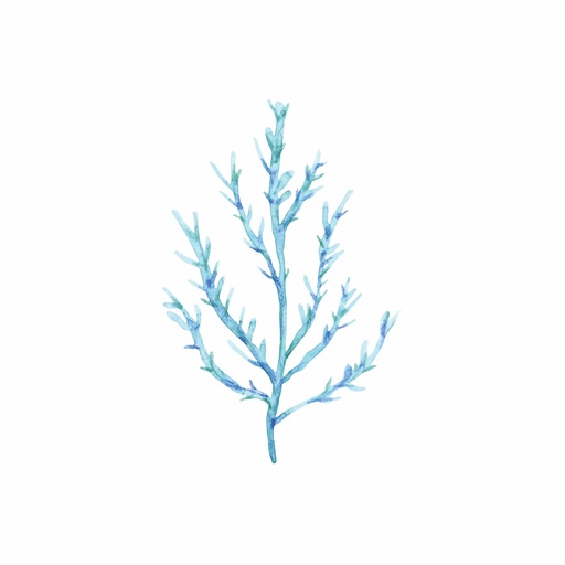 [FP314] Print On Canvas Coral Iii 400X400mm