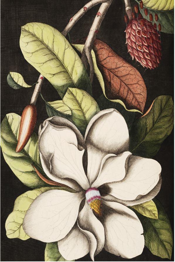 [MF100/1095A] PRINT ON CANVAS FLOWER  800X1200MM