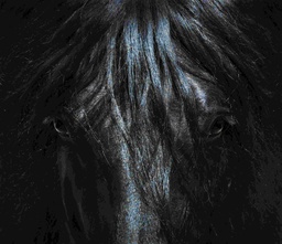 [PXM025] Print On Canvas Black Beauty 1200X800mm