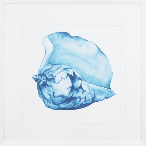 [FP306] FRAMED PRINT BLUE SEA SHELL 620X620MM