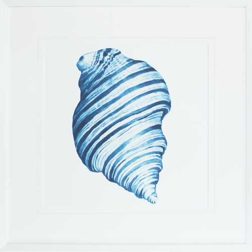 [FP305] FRAMED PRINT BLUE SEA SHELL II 620X620MM