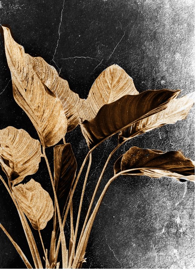 [MF130] PRINT ON CANVAS LEAVES 800X1200MM