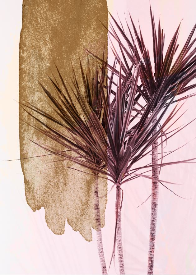 [MF129] PRINT ON CANVAS PLANTS 800X1200MM