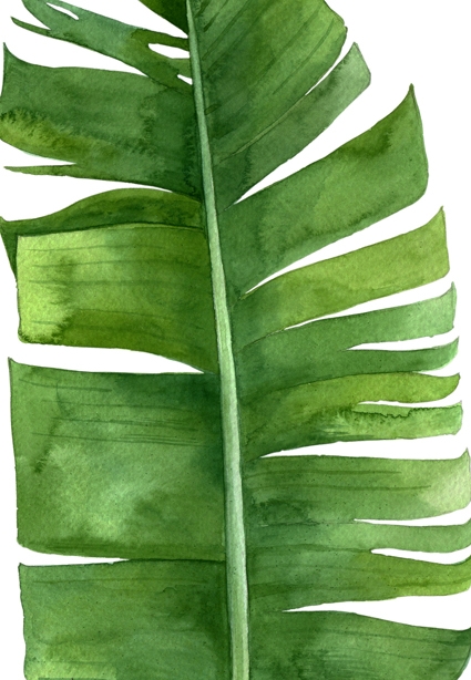 [AS305] PRINT ON CANVAS TROPICAL LEAF 3 813X1220MM