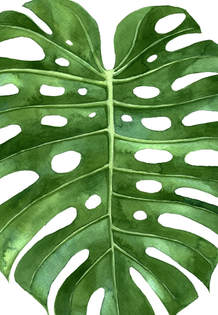 [AS303] PRINT ON CANVAS TROPICAL LEAF 813X1220MM