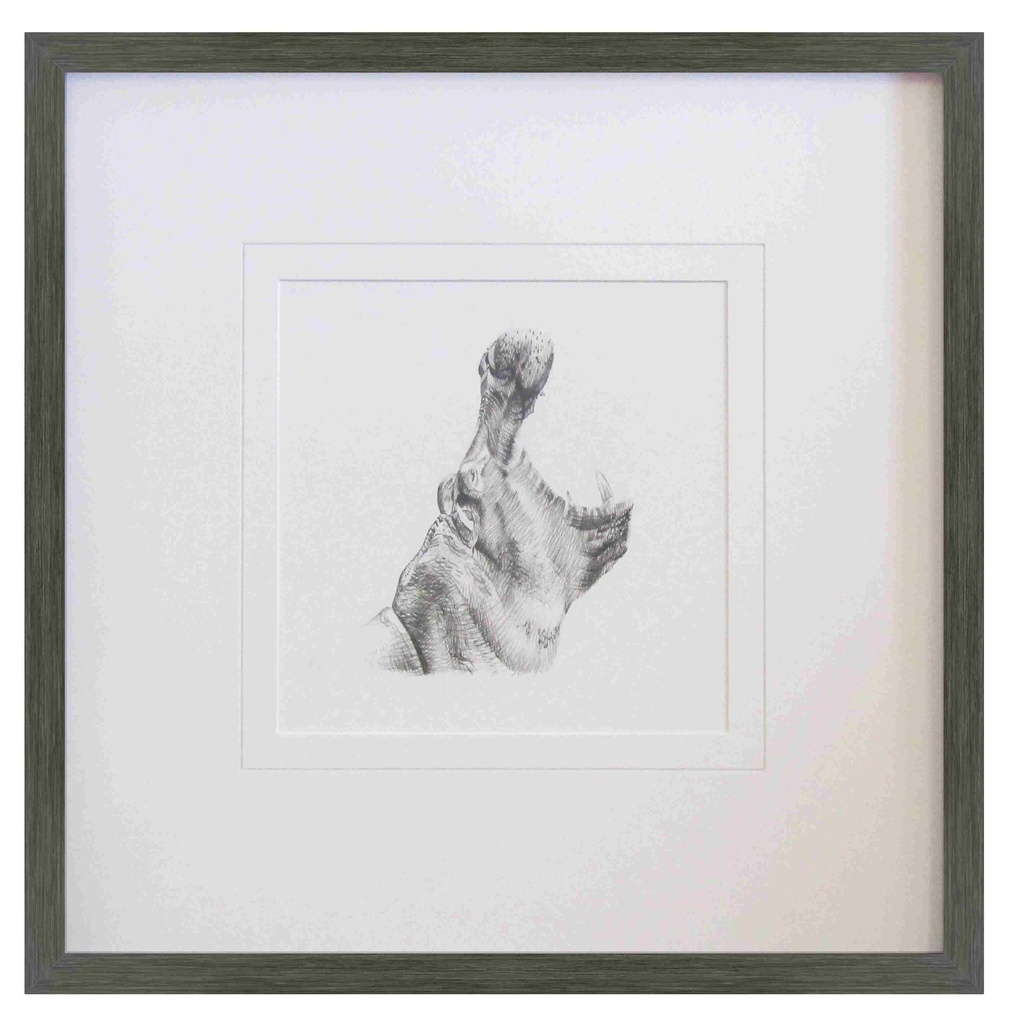 [FP294] FRAMED PRINT HIPPO PENCIL DRAWING 500X500MM