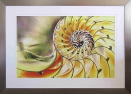 [FP298] Framed Print Solarized Nautilus Shell 1400X1000