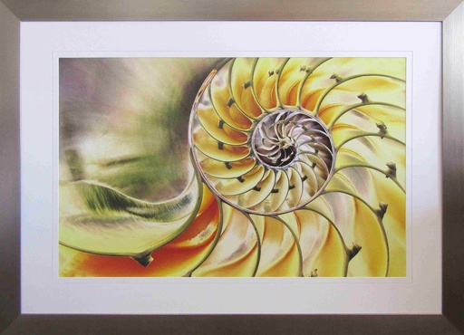 [FP298] Framed Print Solarized Nautilus Shell 1400X1000