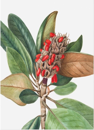 [MF102/1139J] Print On Canvas Flower 1400X970mm