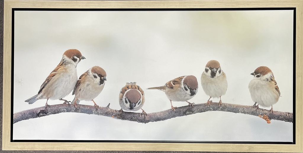 [MF045/1095I] PRINT ON CANVAS BIRDS 1500X700MM