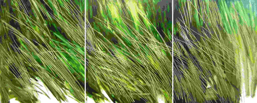 [HP093] ORIGINAL ART WOOD CARVING GRASS 760X610 3 PIECE