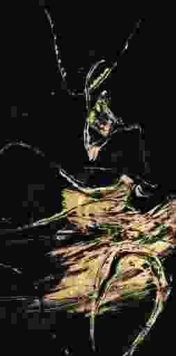 [PXFC396] Oil On Canvas Abstract Black & Gold 700X1400mm