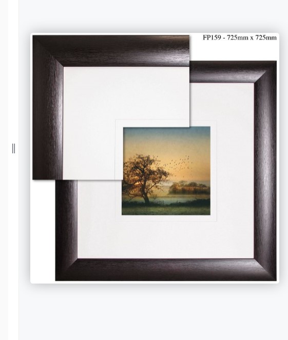 [FP159] FRAMED PRINT GOOD BYE DAY BIRDS 725X725MM