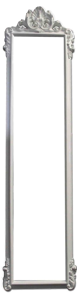 [TS091] TS091 - FP-169 161.5X41.5