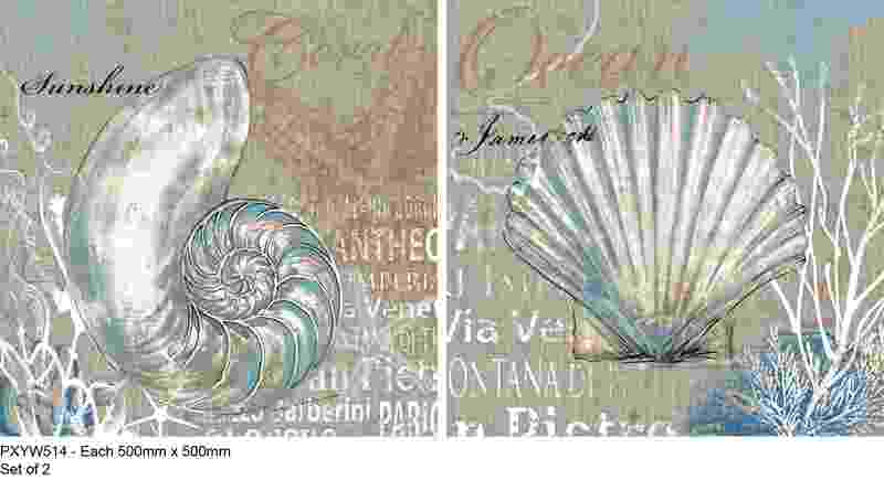 [PXYW514] OIL ON CANVAS SHELLS SET OF 2 500X500MM