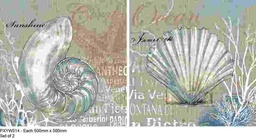 [PXYW514] Oil On Canvas Shells Set Of 2 500X500mm