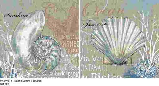 [PXYW514] Oil On Canvas Shells Set Of 2 500X500mm