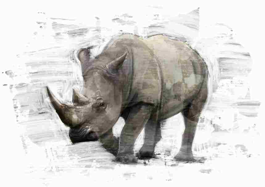 [MF069] PRINTS ON CANVAS RHINO 800X1200MM